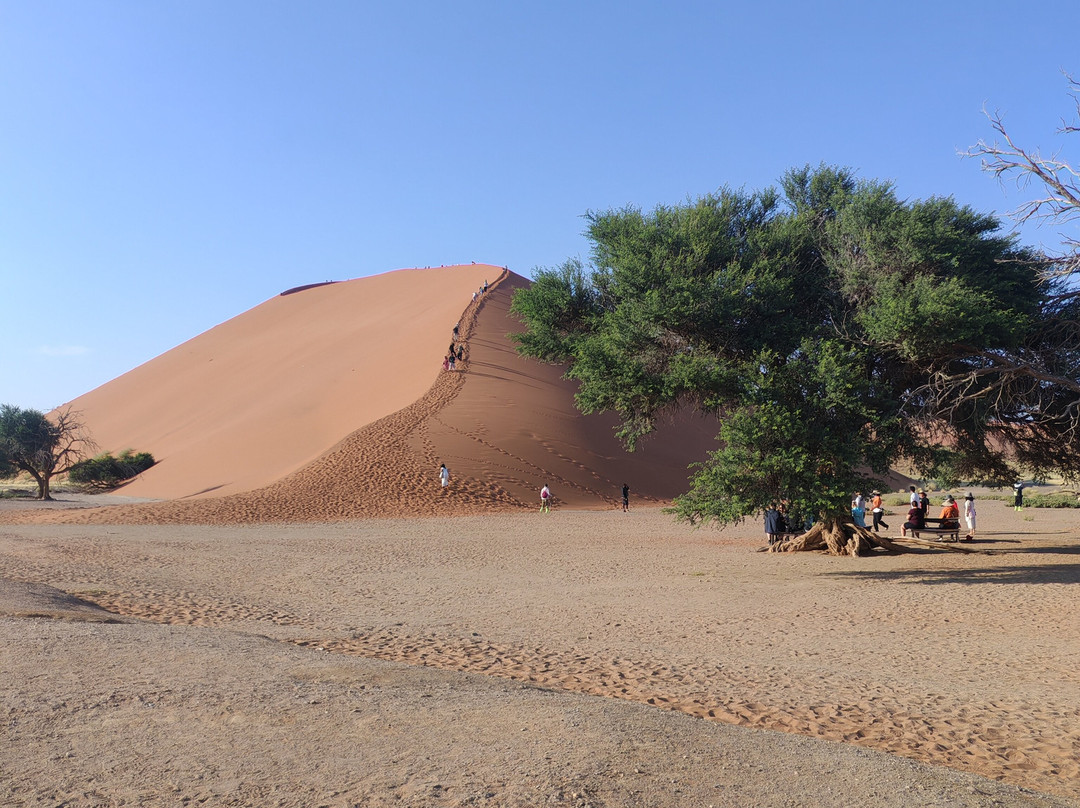 Sossusvlei-Namib-Naukluft Park必去景点