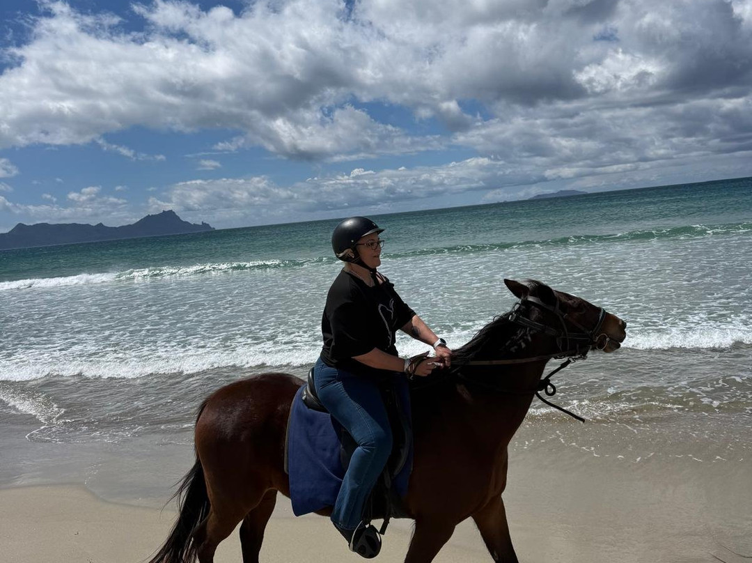Waipu Horse Adventures-璜加雷必去景点