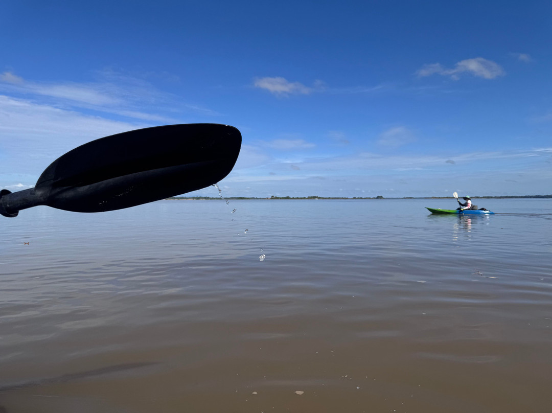 Dolphin Kayaking Adventures-Kratie必去景点
