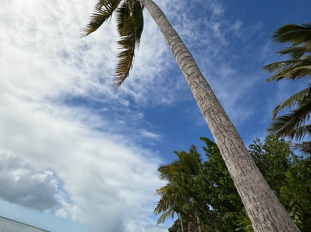 Tivua Island Fiji-纳迪市必去景点