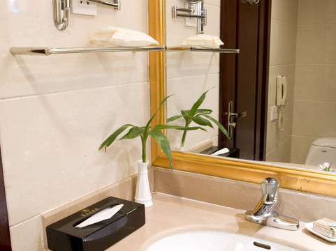 丽天大酒店主图