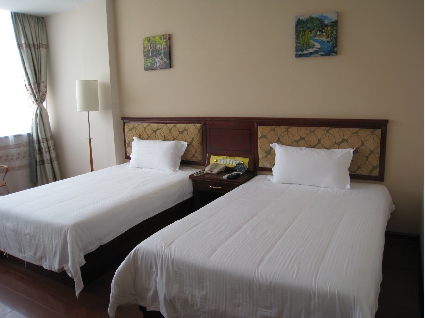 锦文大酒店(五一路江南万达店)-客卧