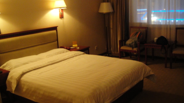 浦京大酒店-客卧