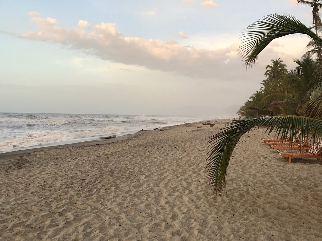 Guachaca酒店住宿-Playa Pikua Ecolodge