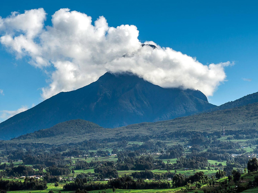 One&Only Gorilla's Nest主图