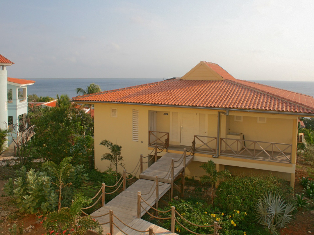 博内尔加勒比俱乐部