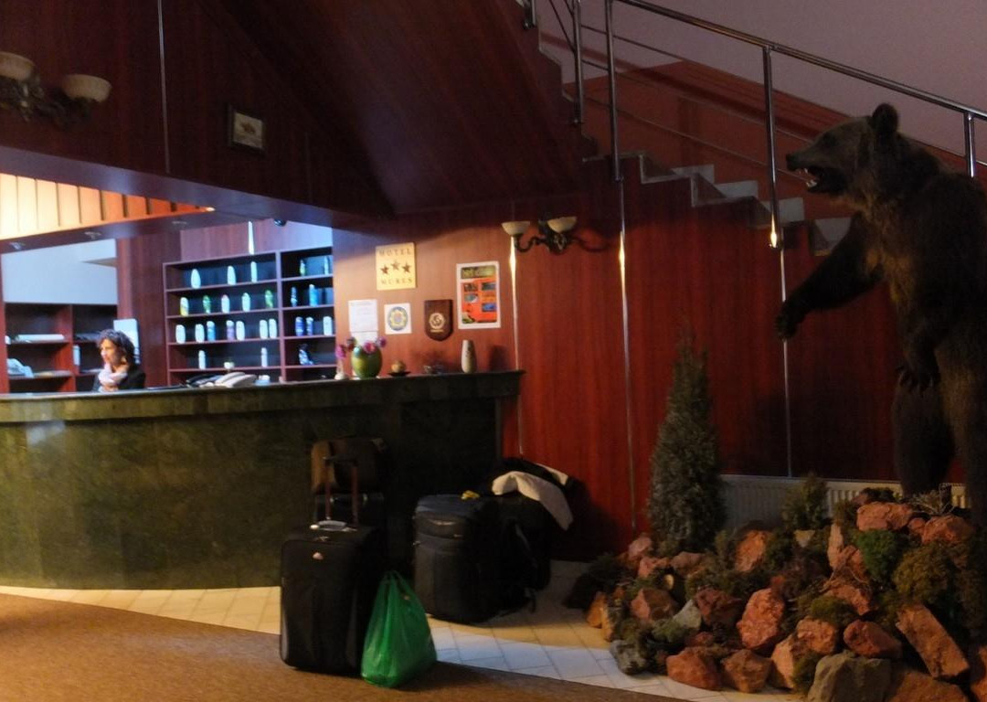 Hotel Mures