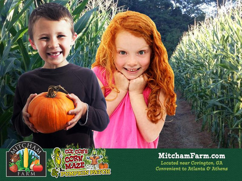 Social Circle旅游景点-Mitcham Farm