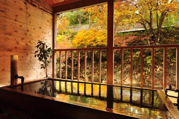 Onsen Theme Park Ryuudou