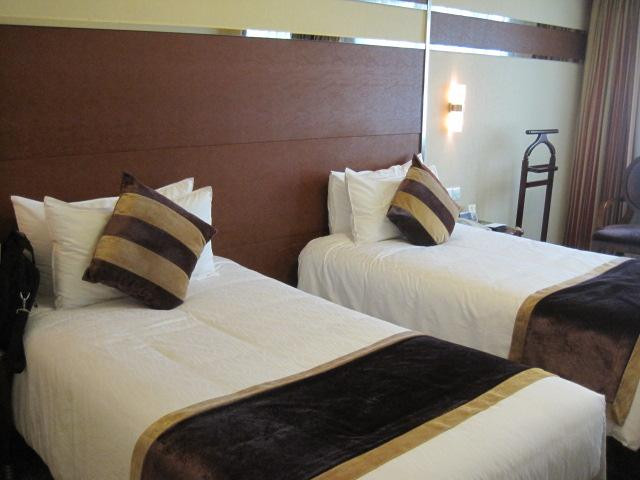 王朝大酒店主图