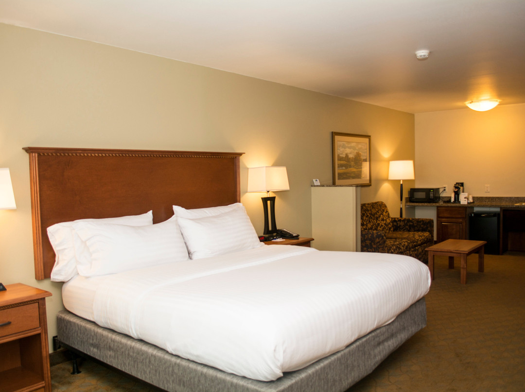 Holiday Inn Express & Suites Mason City By IHG主图