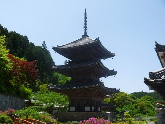 Tsubosaka Temple 3 Storey Tower景点图片