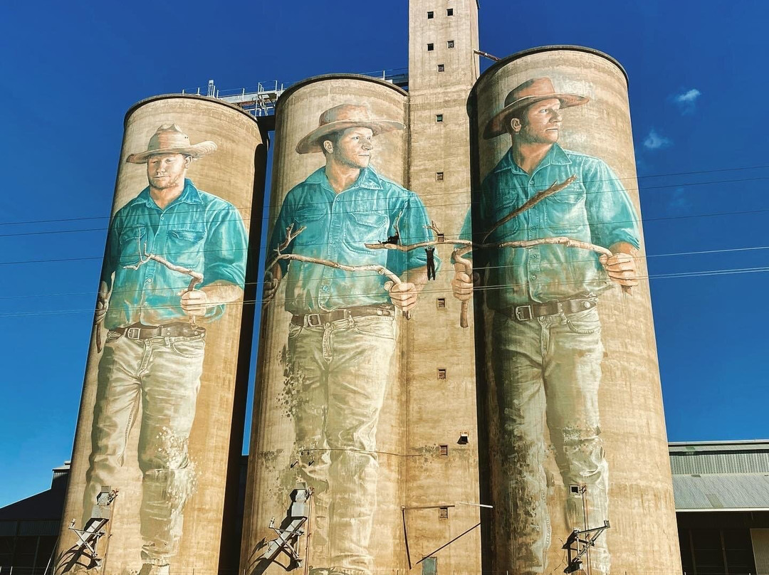 Barraba Silo Art景点图片