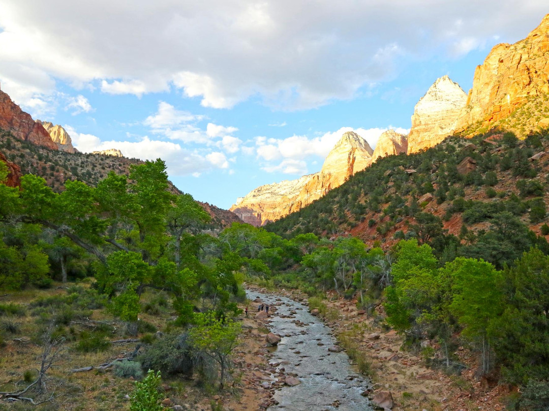 Zion - Mt. Carmel Highway
