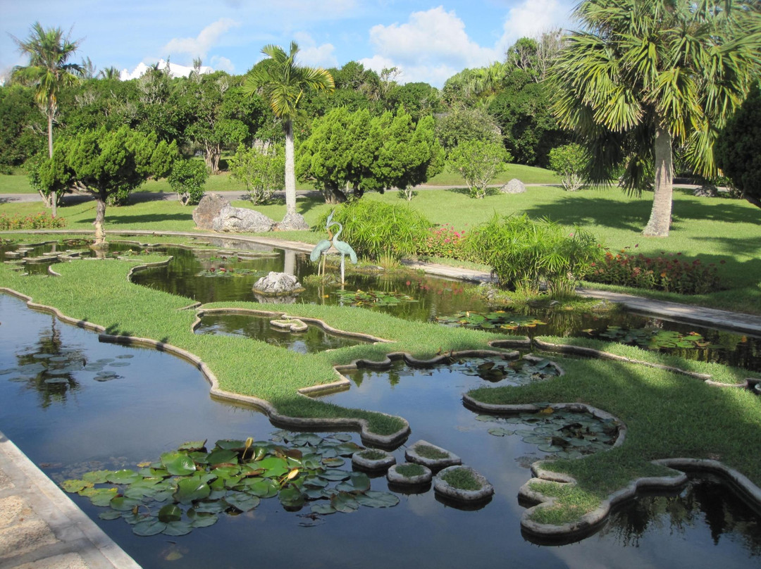 Palm Grove-百慕大必去景点