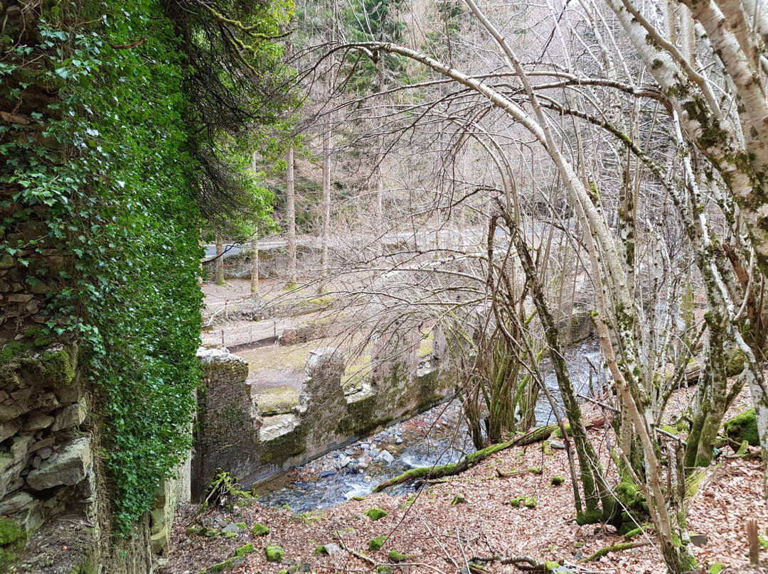 Lizaso旅游景点-Real Fabrica de Municiones de Eugi