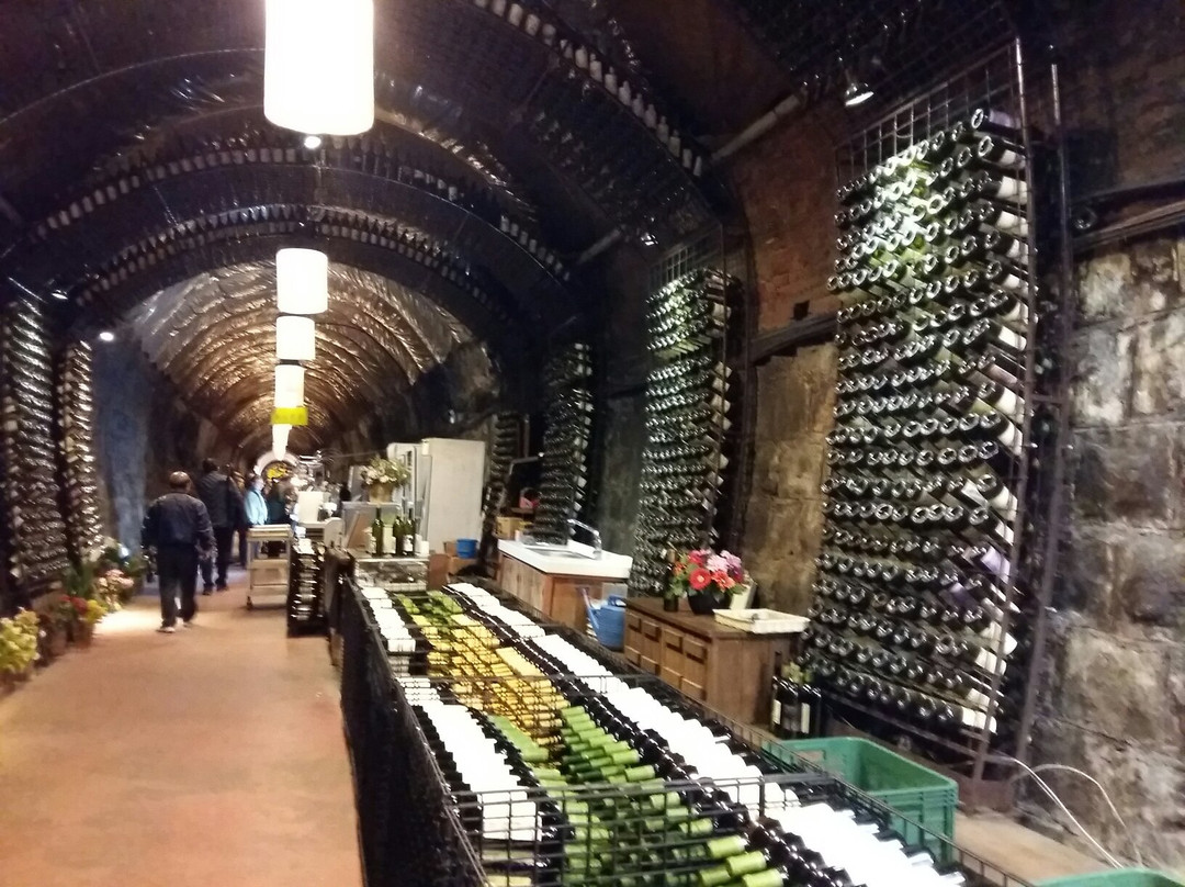 清道郡旅游景点-Cheongdo Wine Tunnel