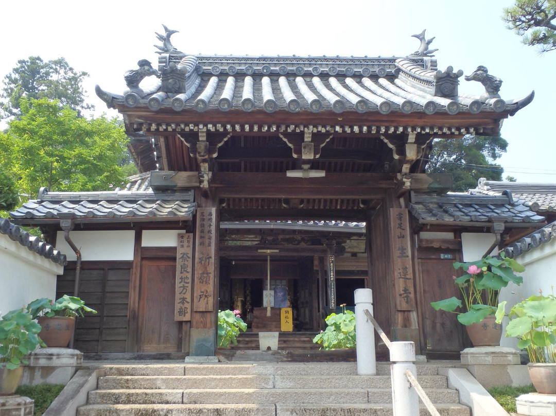 Shorenji Temple-五条市必去景点
