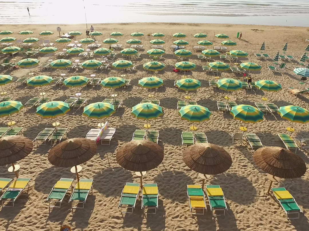 Lido Pizzeria Playa Albatros