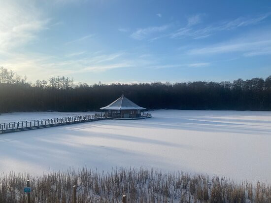 Lake View Yoga景点图片