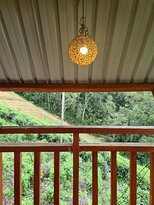 Rainforest Lodge主图