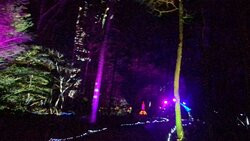 Winter Wonderfest-Milton必去景点