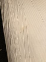 Jackson Gore Inn主图