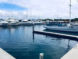 Queenscliff Harbour-皇后崖必去景点