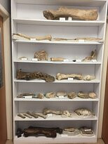 Blackwater Draw National Historic Site-Portales必去景点