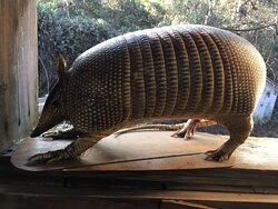 Fred's Famous Peanuts-海伦必去景点