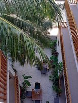 马尔代夫热带树木酒店主图