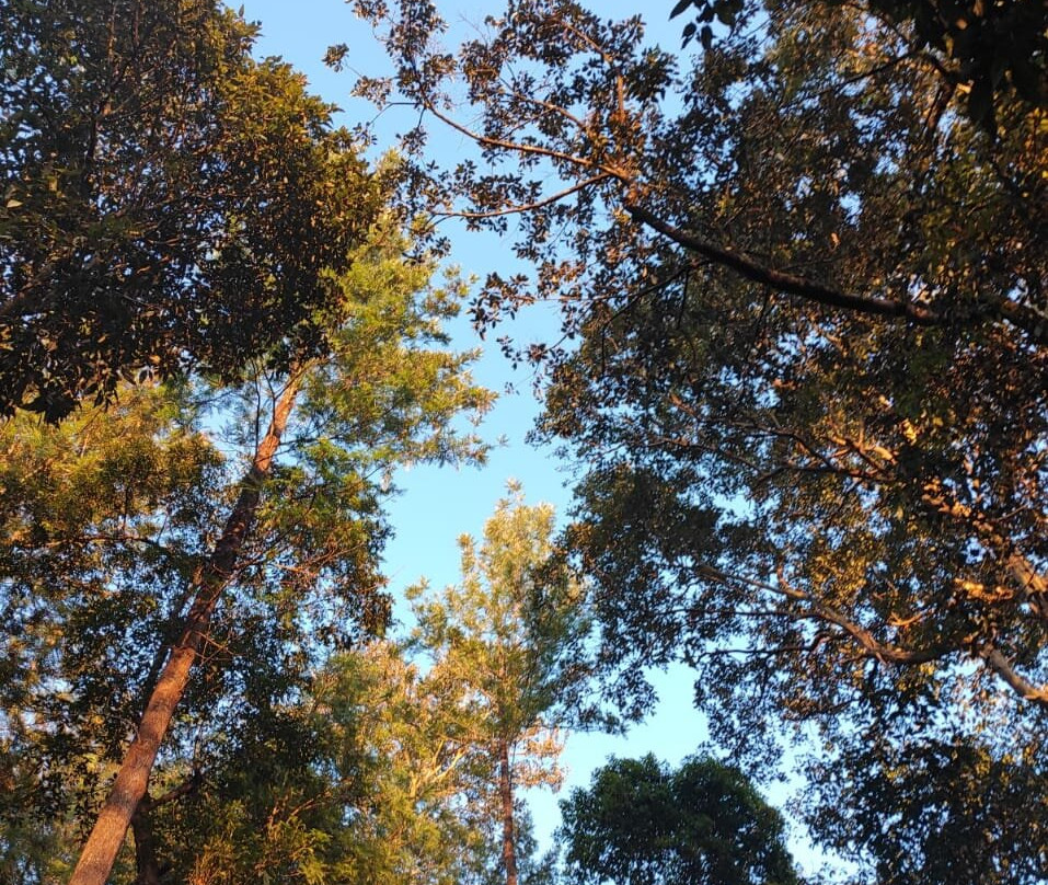 Nature Nirvana主图