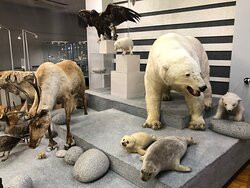 Magadan Regional Museum of Local Lore-Magadan必去景点