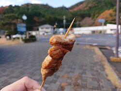 Roadside Station Kiinagashima Mambo景点图片