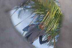 Lengkuas Island-勿里洞岛必去景点