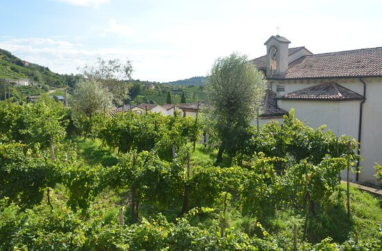 Il Borgo di Rolle景点图片
