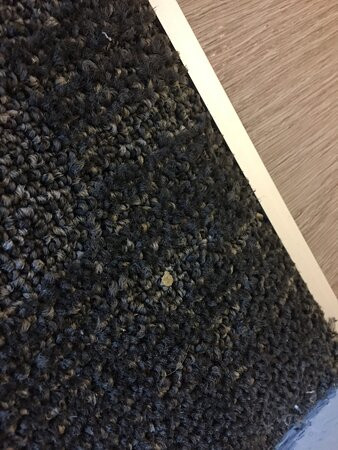 米西索加机场企业中心万豪广场套房酒店主图