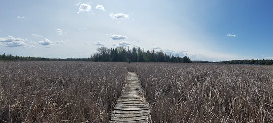 Emily Provincial Park景点图片