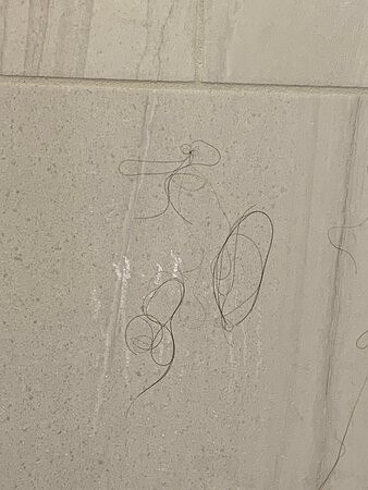 奥兰多市区希尔顿双树酒店主图