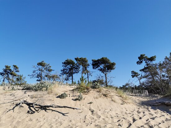 Saumonards Beach景点图片