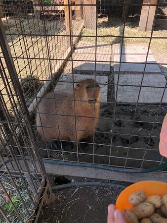 Jungle Experience Zoo-Granville必去景点