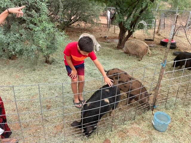 Harmony Acres Ranch & Petting Farm
