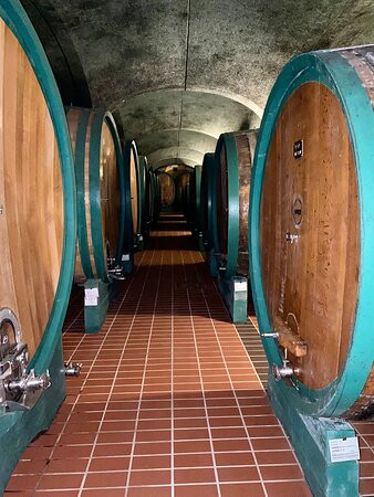 Caparzo Winery-蒙塔尔奇诺必去景点