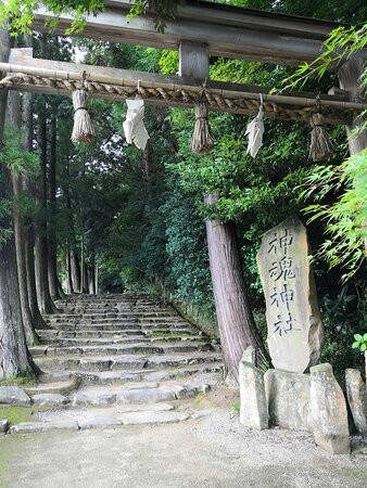 Kamosu Shrine-松江市必去景点
