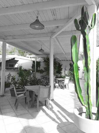 Hotel Villaggio dei Pini主图