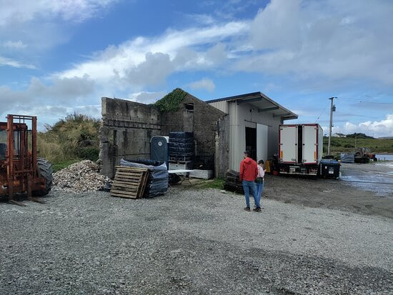 DK Connemara Oysters-Dawros More必去景点