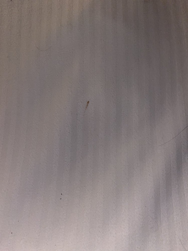 Borrego Springs Resort-客卧