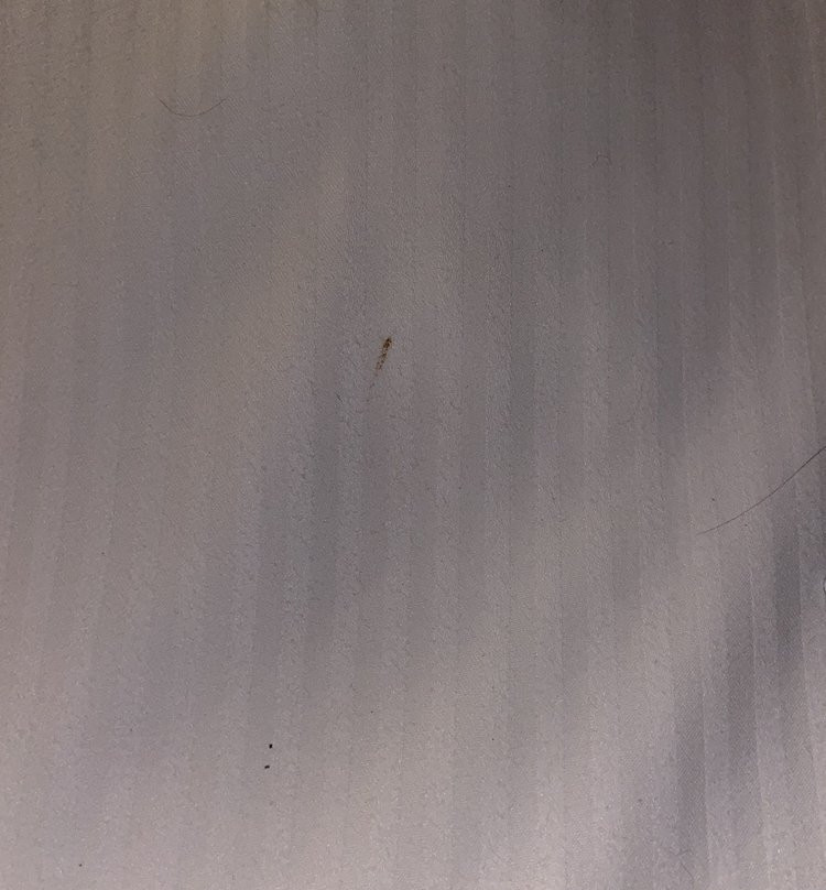 Borrego Springs Resort主图