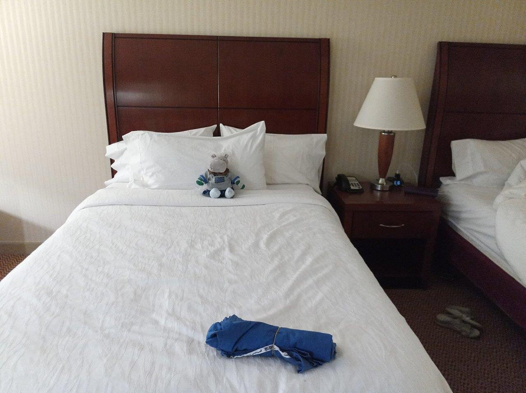 密尔沃基公园希尔顿花园酒店主图