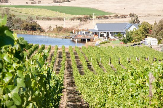 Puddleduck Wines-Richmond必去景点